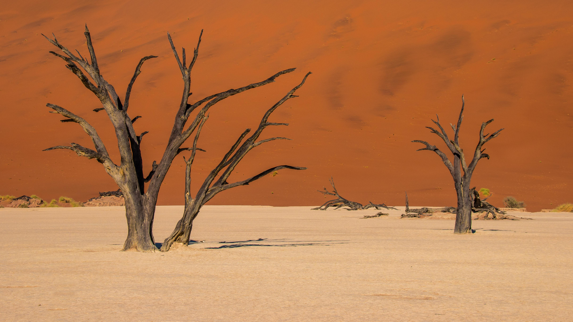 Dünenlandschaft im Sossusvlei 