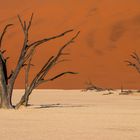 Dünenlandschaft im Sossusvlei 