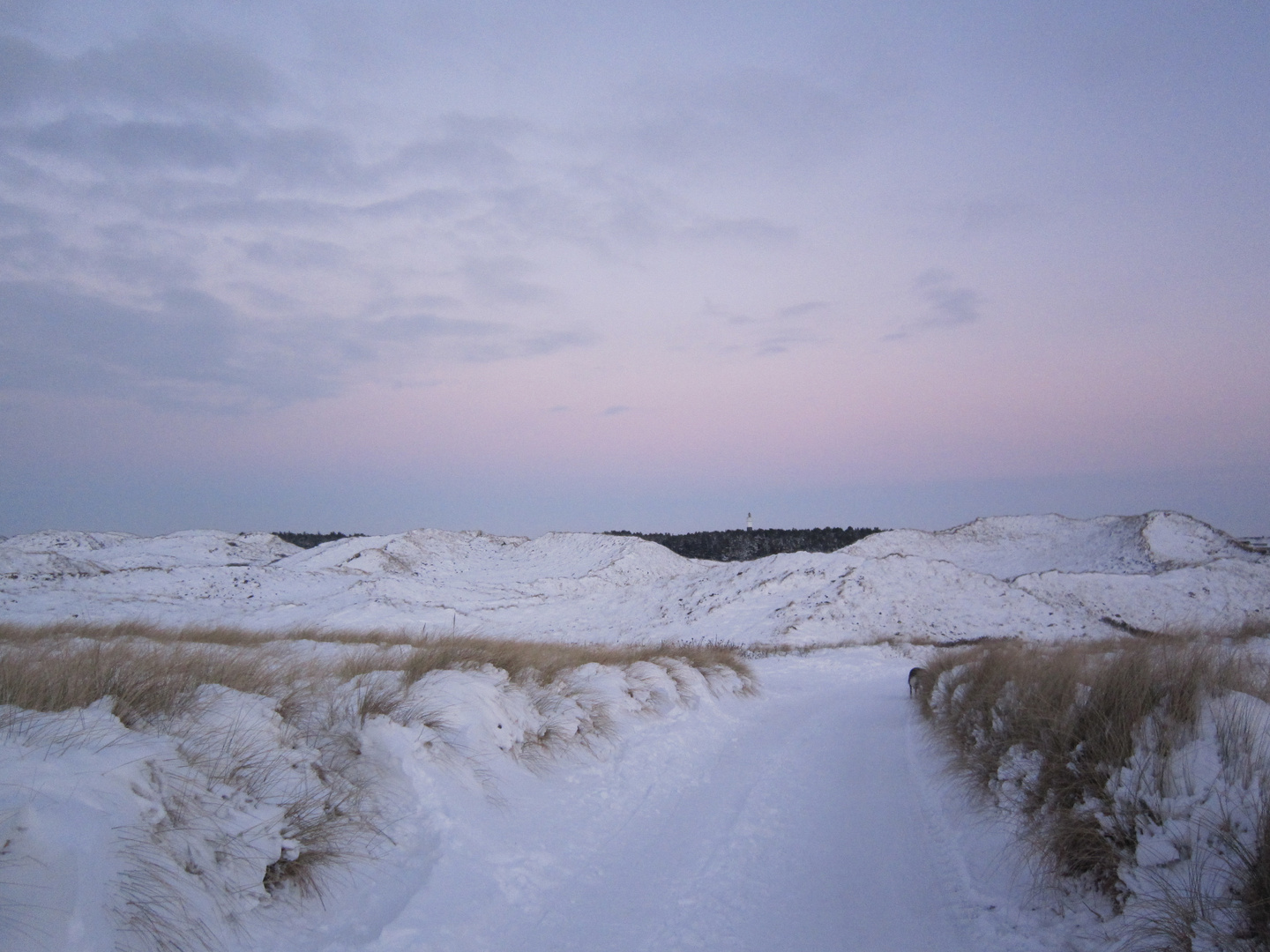 Dünenlandschaft im Winter