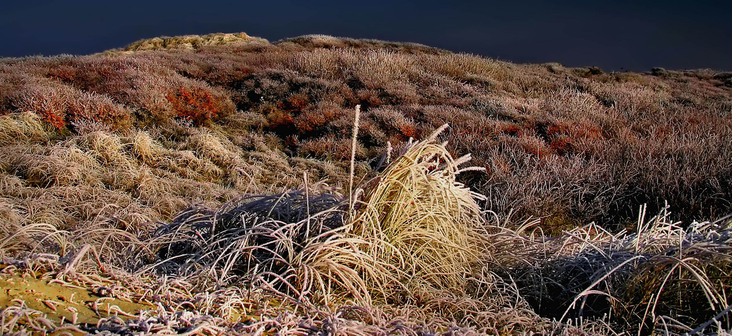 Dünenlandschaft im Winterlicht