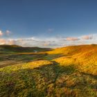 Dünenlandschaft in der Abendsonne