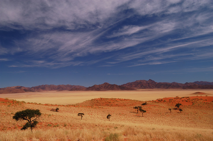 Dünenlandschaft in der Namib