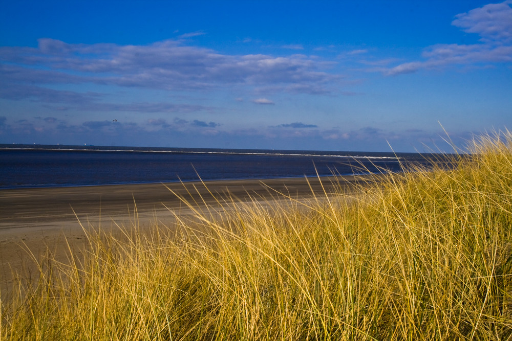 Dünenlandschaft in Holland