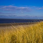 Dünenlandschaft in Holland