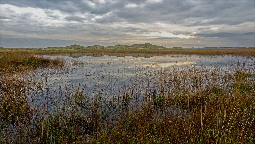 Dünenlandschaft in Nordjütland