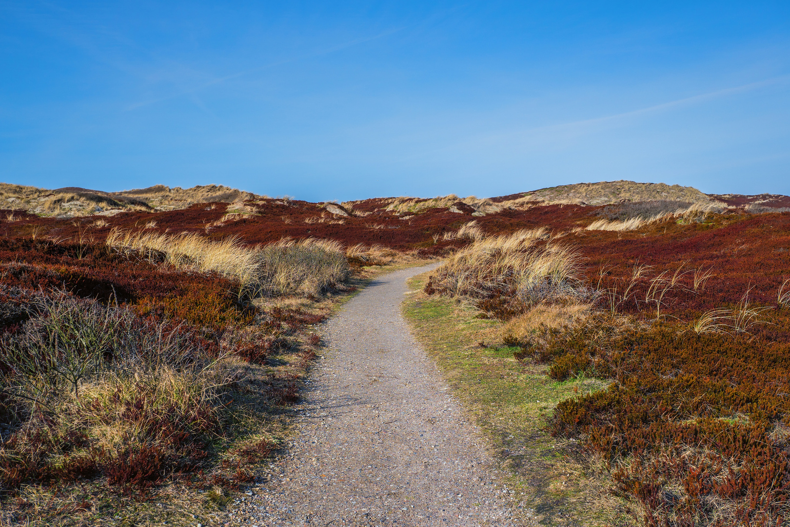 DÜNENLANDSCHAFT IN RANTUM AUF SYLT - FEBRUAR 2017