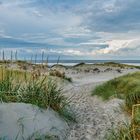 DÜNENLANDSCHAFT IN ST.PETER - ORDING - OKTOBER 2021