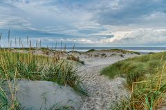 DÜNENLANDSCHAFT IN ST.PETER - ORDING - OKTOBER 2021