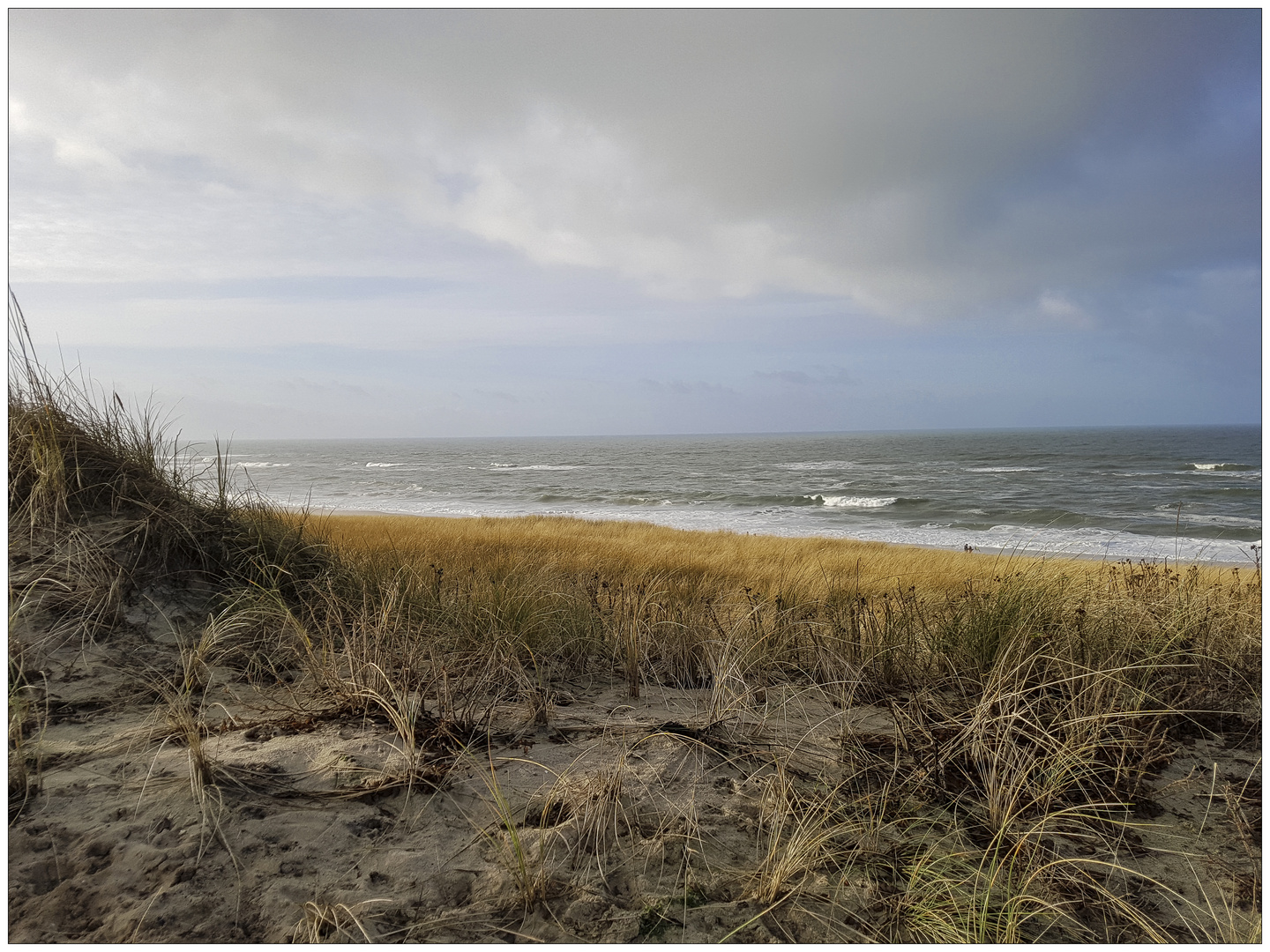 Dünenlandschaft Kampen