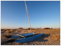 Dünenlandschaft Laboe #2