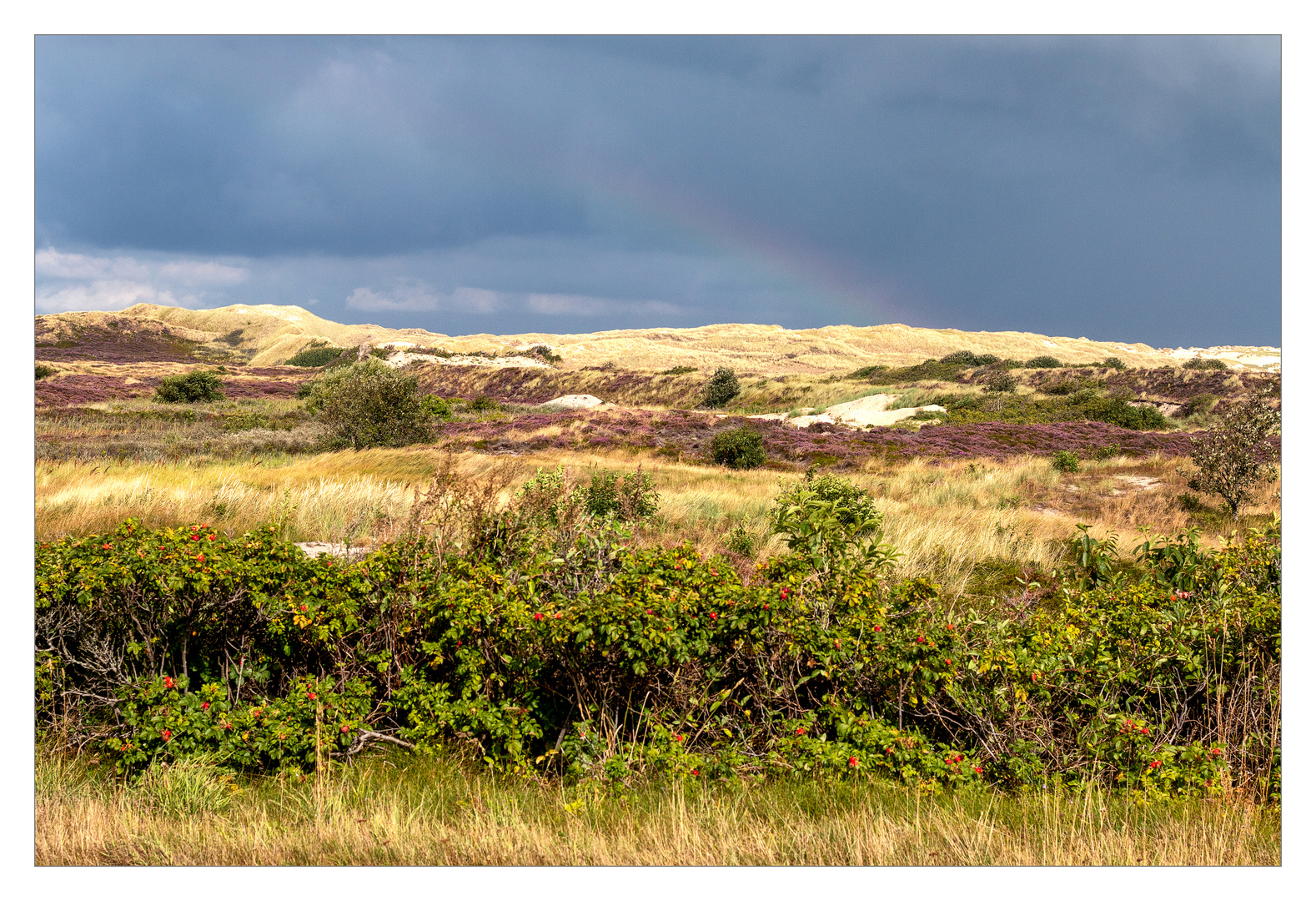 Dünenlandschaft mit zartem Regenbogen