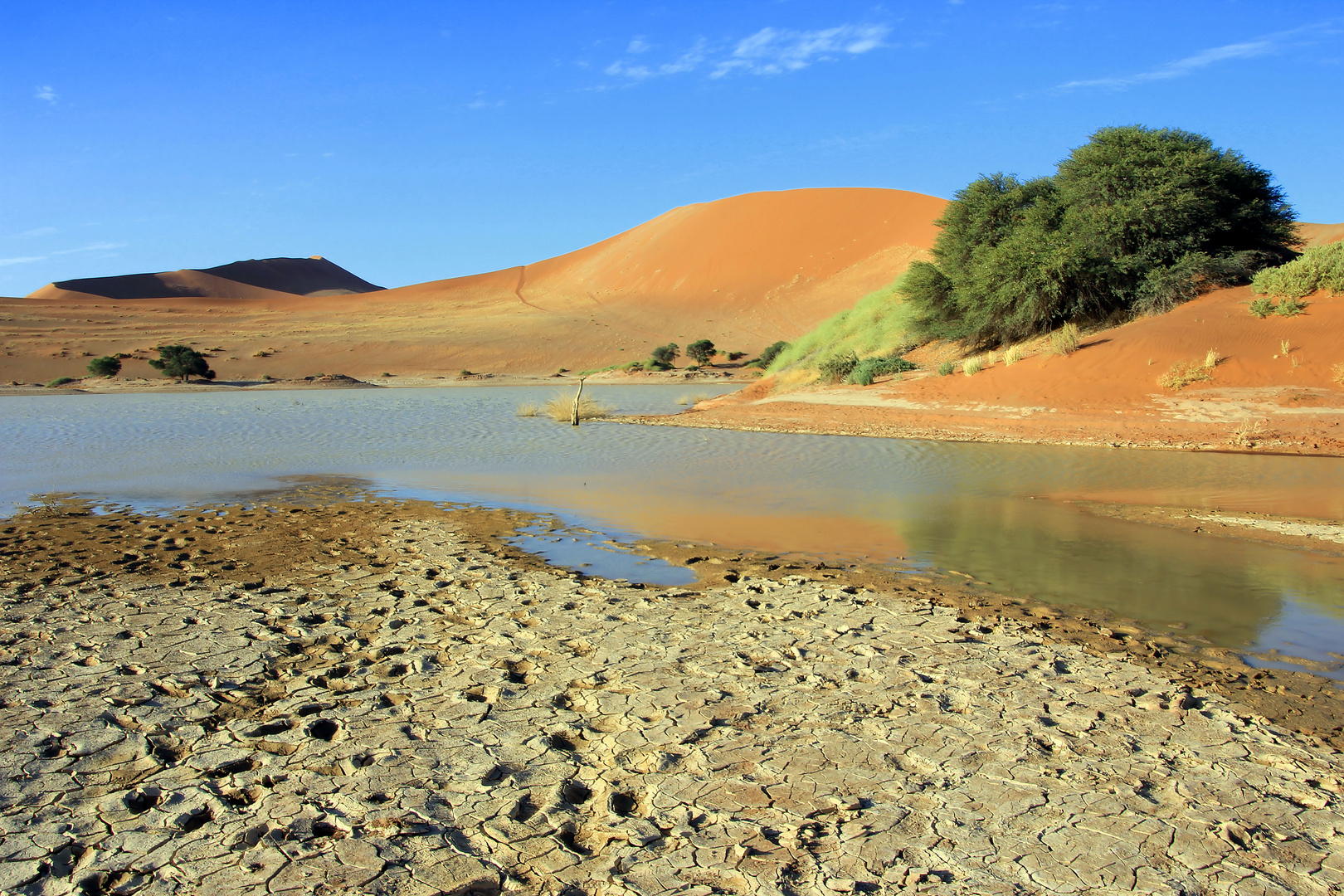 dünenlandschaft namibia