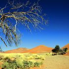 dünenlandschaft namibias wüste