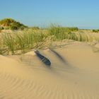 Dünenlandschaft Nordstrand