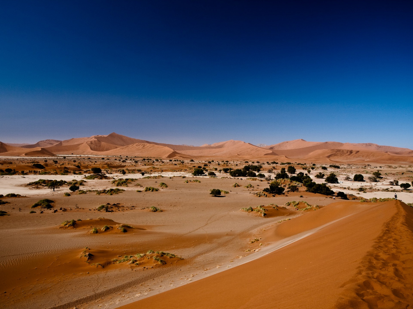 Dünenlandschaft - Sossusvlei