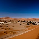 Dünenlandschaft - Sossusvlei