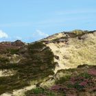 dünenlandschaft - sylt