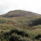 Dünenlandschaft Texel