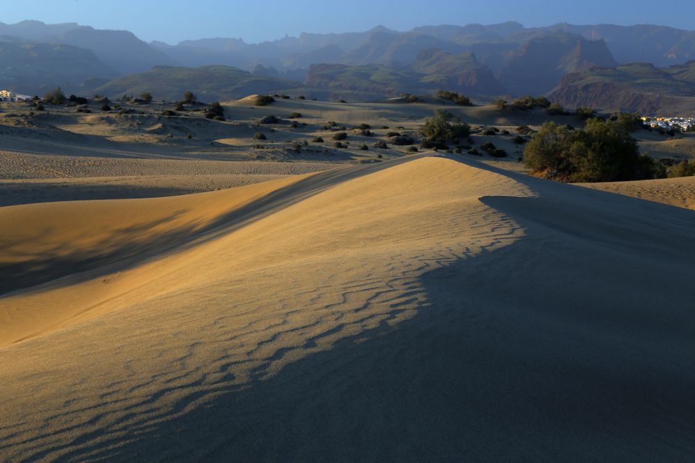 Dünenlandschaft um Maspalomas