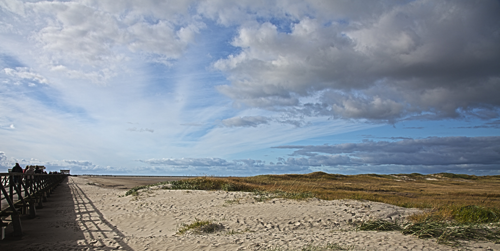 Dünenlandschaft und Salzwiesen