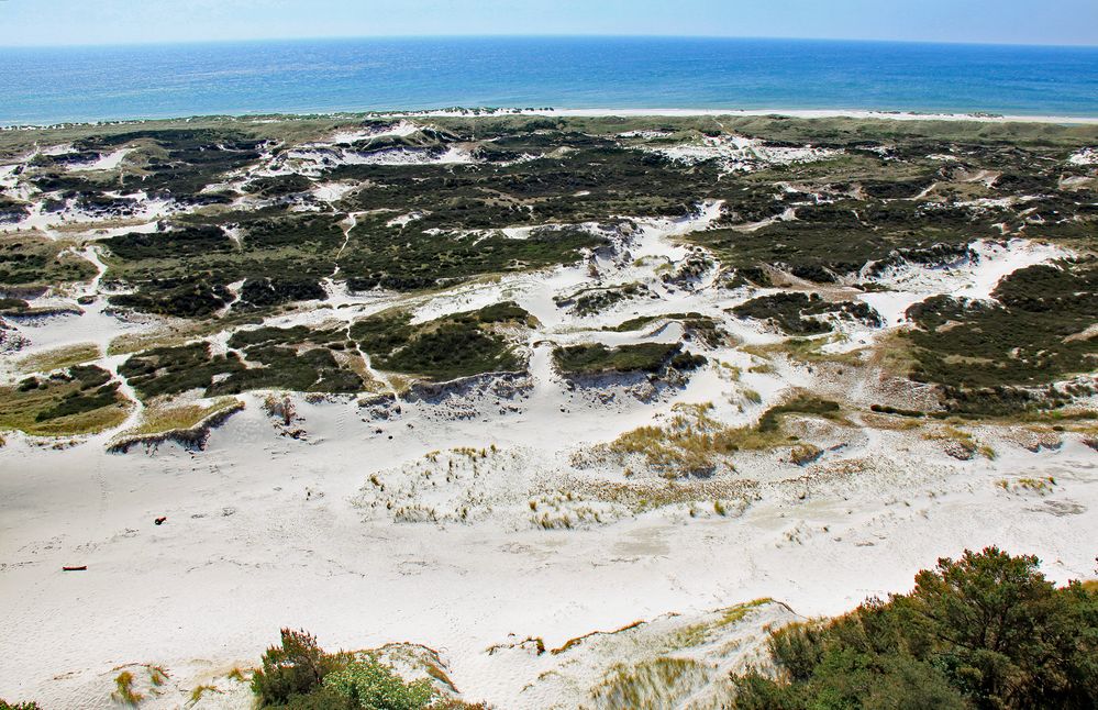 Dünenlandschaft von Dueodde (1)