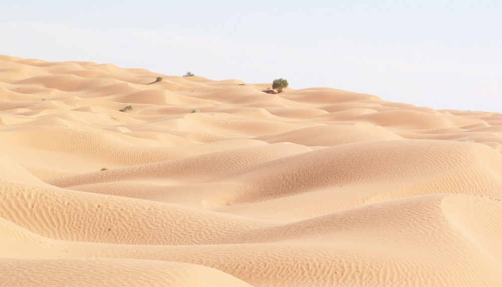 Dünenlandschaft vor Ksar Ghilane