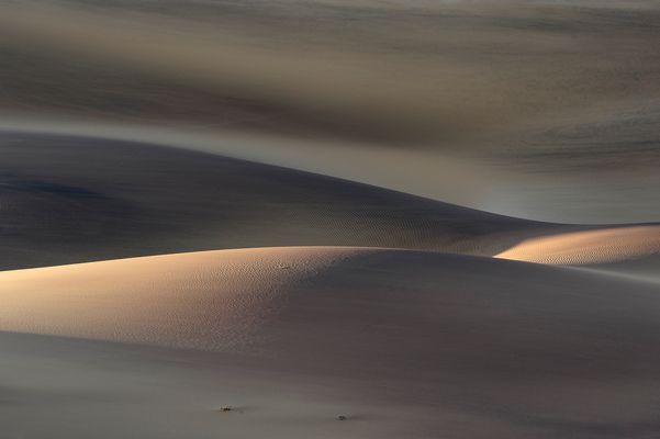 Duenenlicht -Dunelight_DSC8920-01