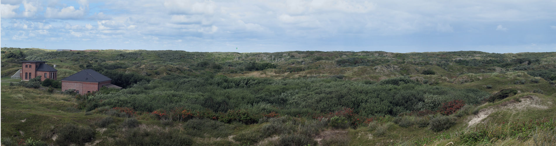 Dünenpanorama auf Baltrum