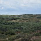 Dünenpanorama auf Baltrum