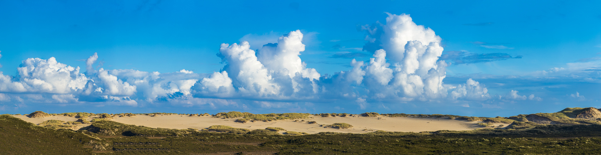 DÜNENPANORAMA II