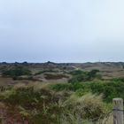 Dünenpanorama Spiekeroog 06/2011