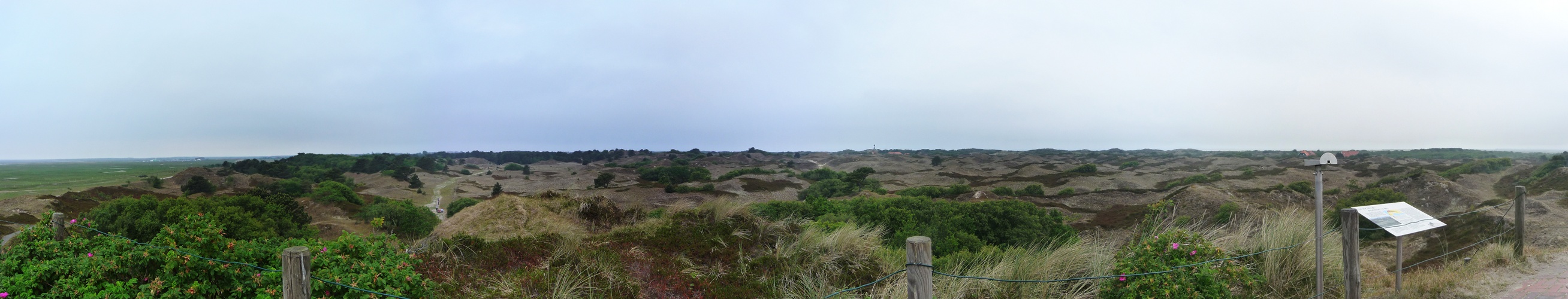 Dünenpanorama Spiekeroog 06/2011