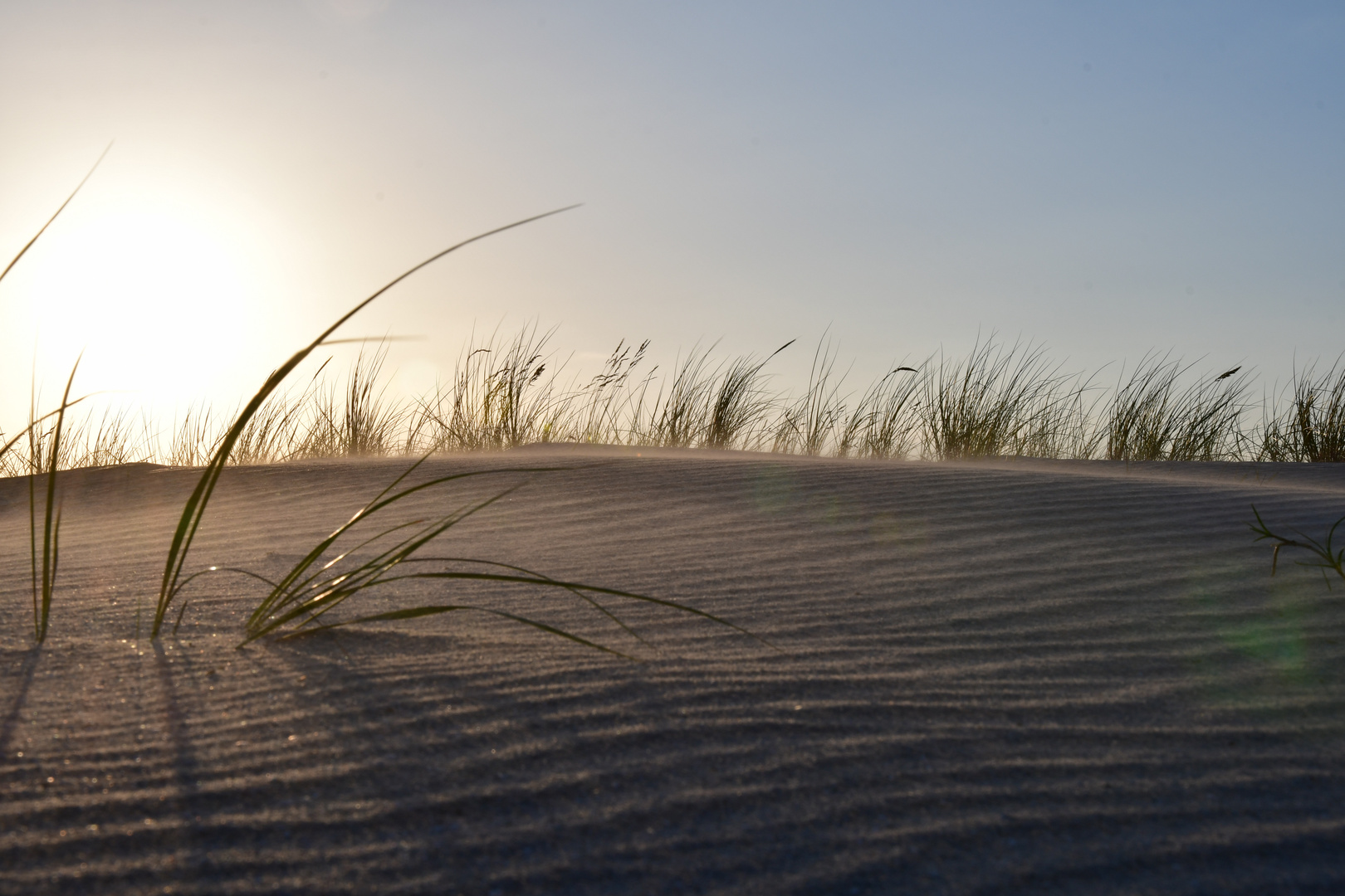 Dünensand