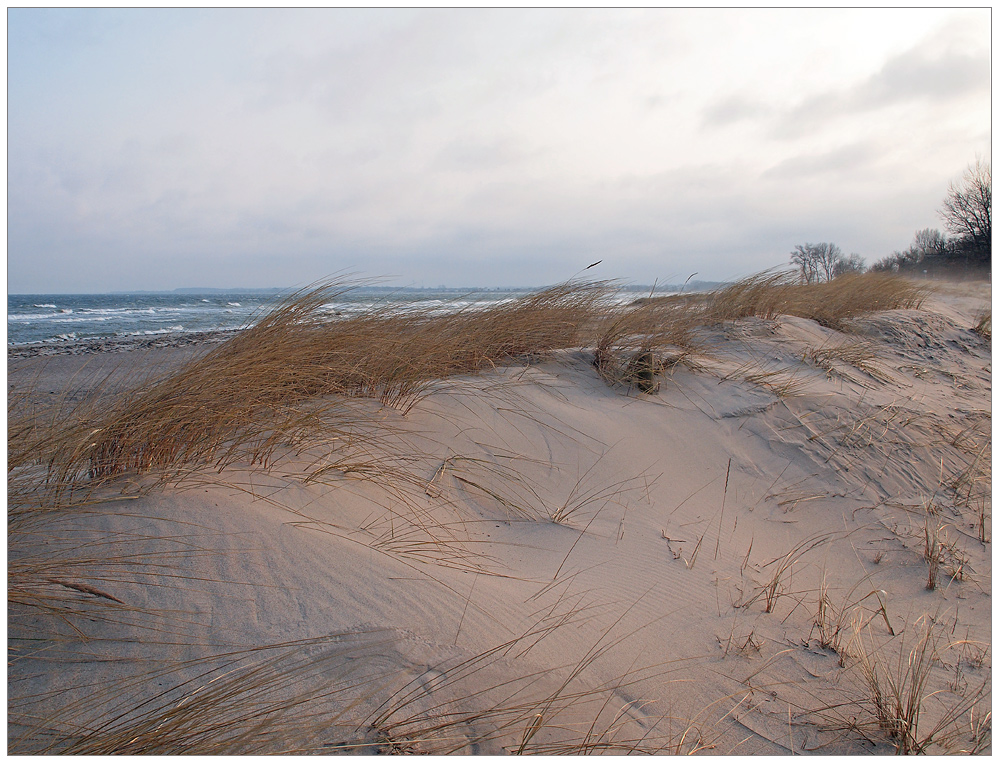 Dünensand