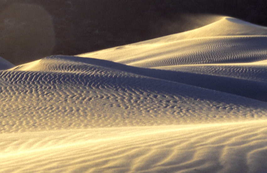 Dünensand im Sturm