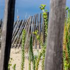 Dünenschutz am Plage de Pampelonne, Côte d'Azur