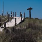 Dünenschutz auf Formentera