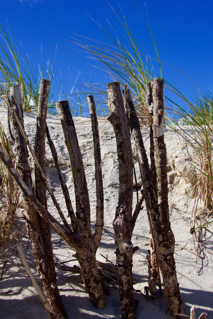 Dünenschutz aus Holz