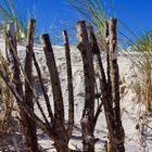 Dünenschutz aus Holz