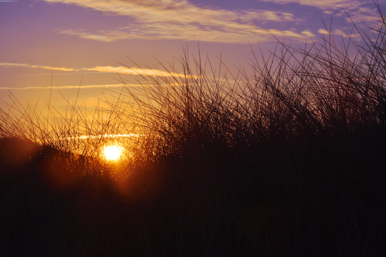 Dünensonne