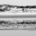 Dünenspaziergang auf Norderney