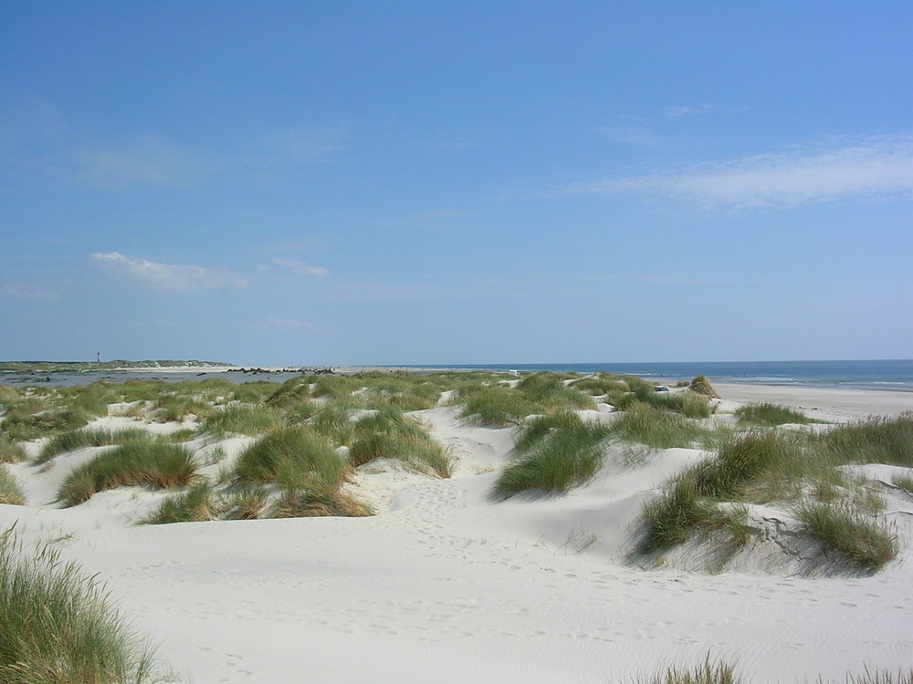 Dünenstand Amrum