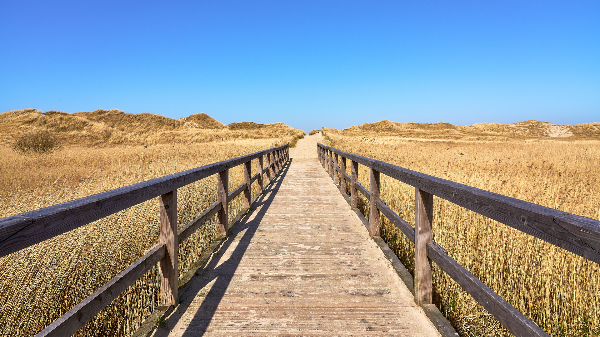 Dünensteg - Sankt Peter-Ording