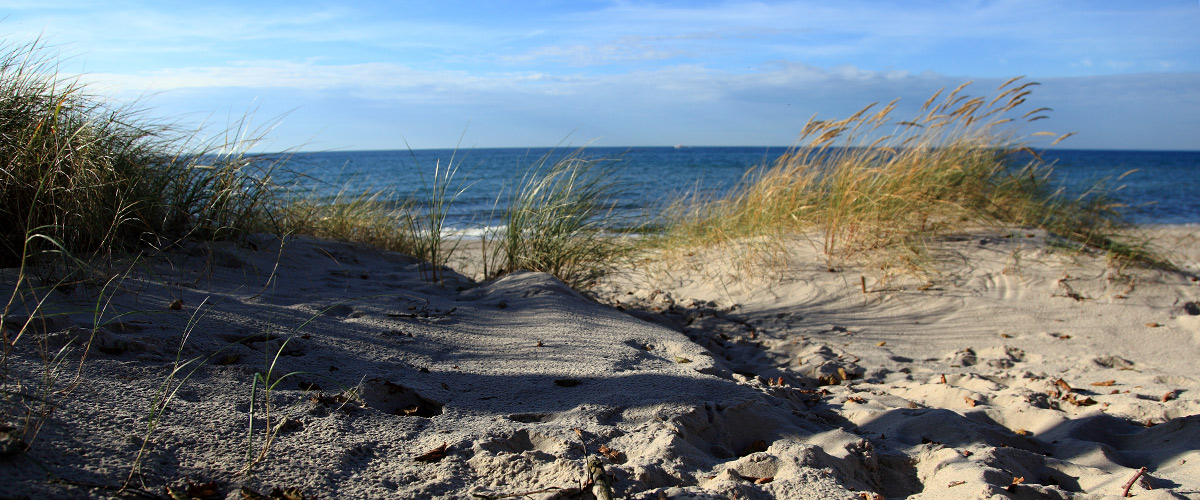 Dünenstimmung am Weststrand