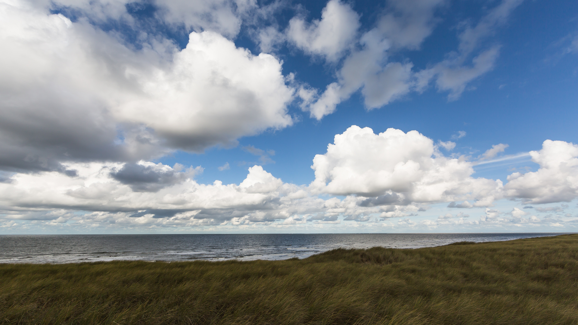 Dünenstrand in Julianadorp Den Helder Niederlande