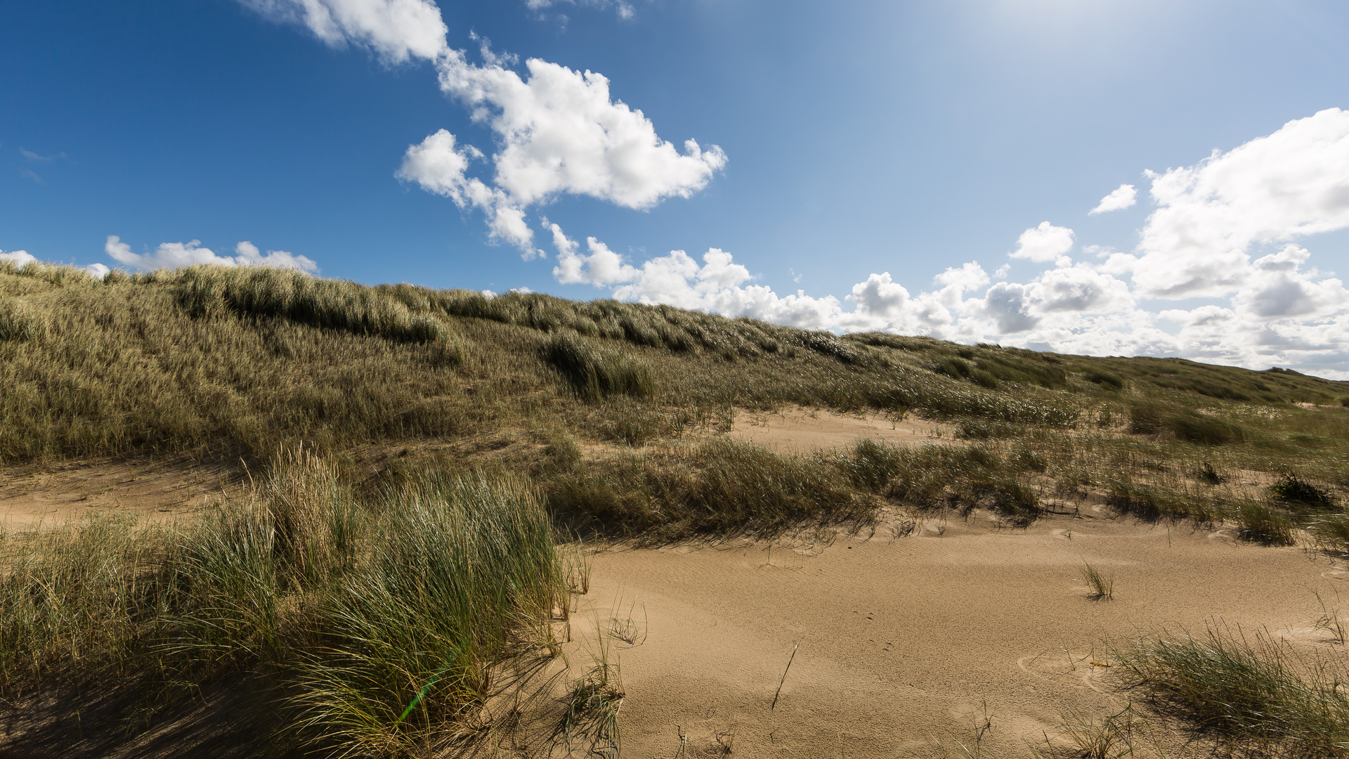 Dünenstrand in Julianadorp Den Helder Niederlande