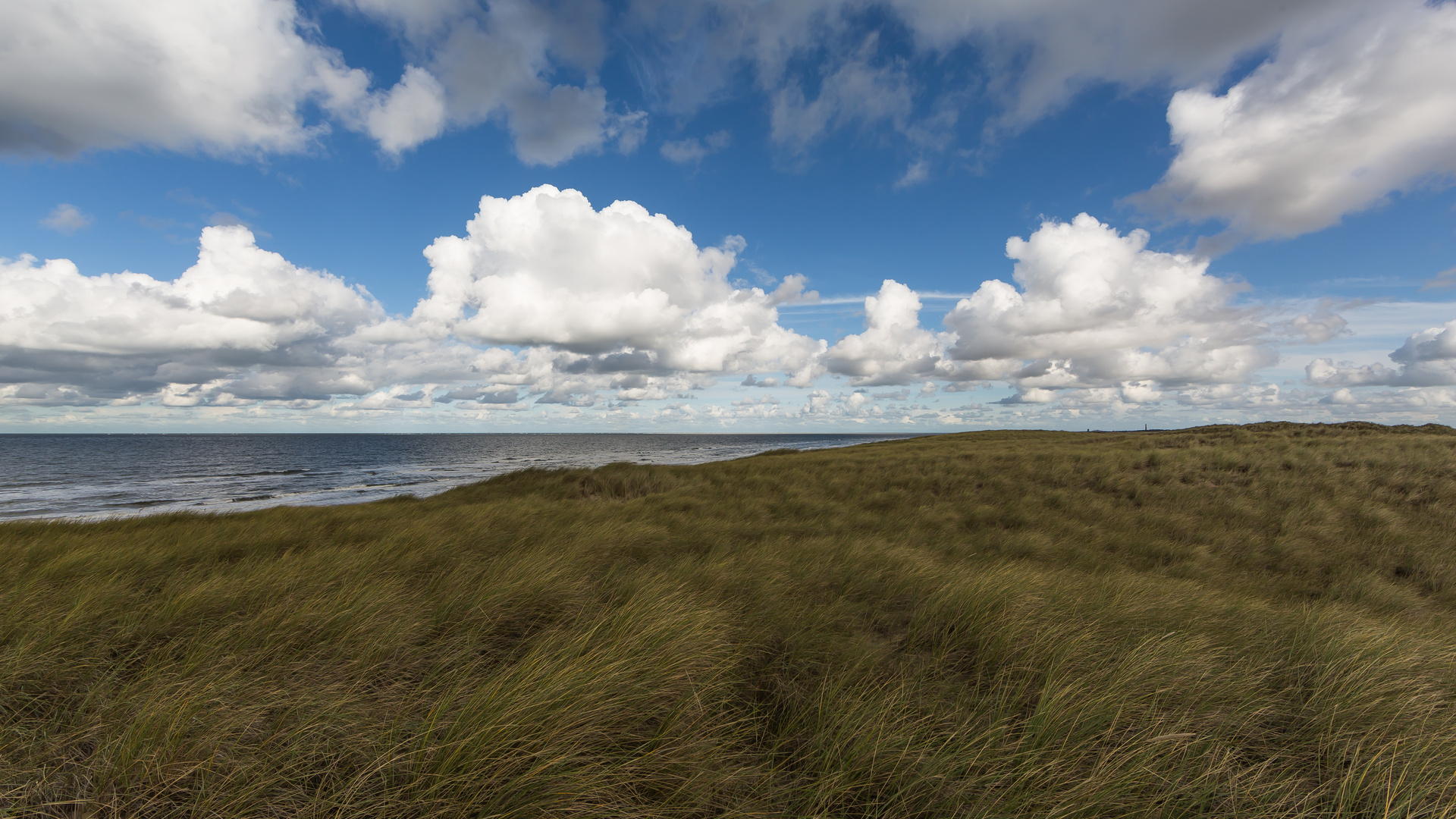 Dünenstrand in Julianadorp Den Helder Niederlande