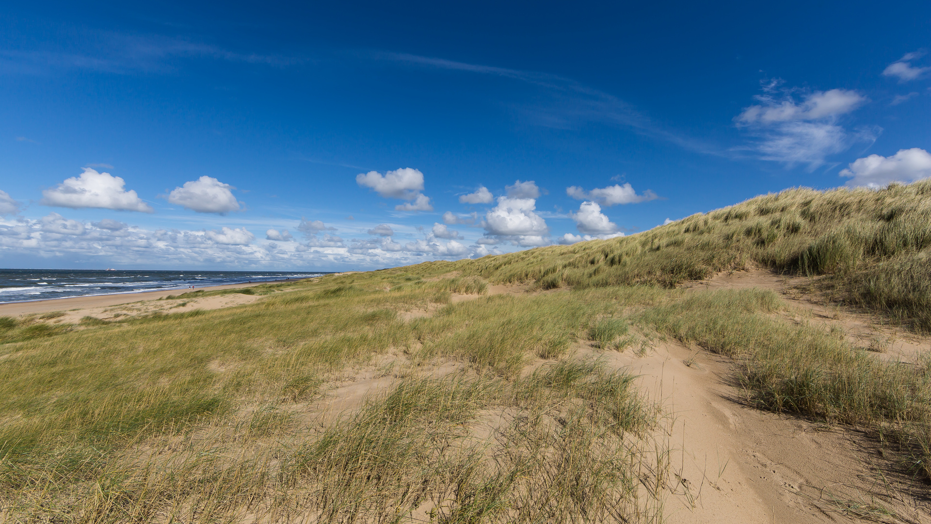 Dünenstrand in Julianadorp Den Helder Niederlande