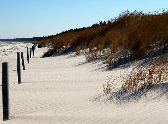 dünenstrand von Mariam