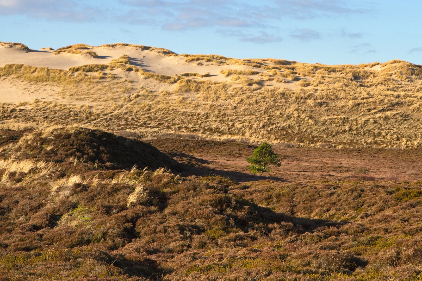 Dünental auf Sylt